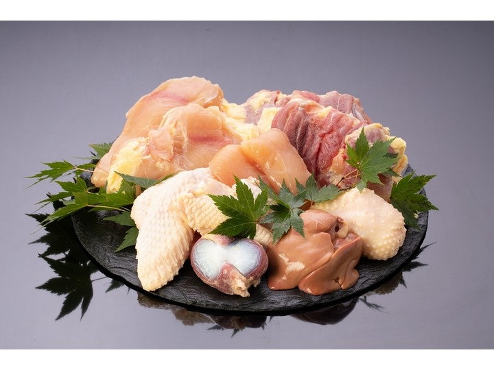 （Maru Chicken /雌性）黑色Satsuma鸡肉