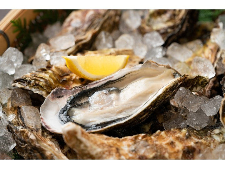 3 major oysters Sensho toe from Hokkaido